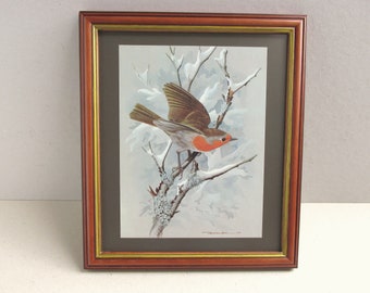 Robin by Basil Ede (1972) Vintage Bird Art Print in Wooden Frame Sized 11 x 9 4/10 ins