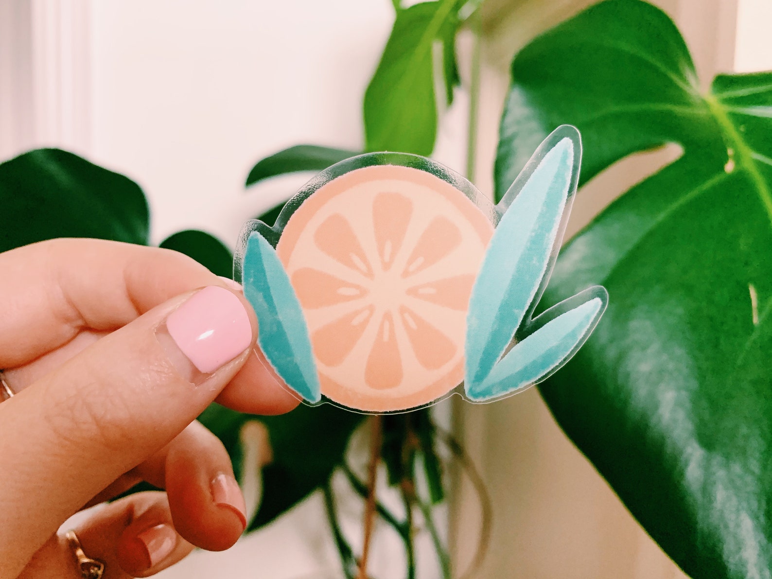 Sticker Orange Slice Clear Orange Sticker Etsy UK