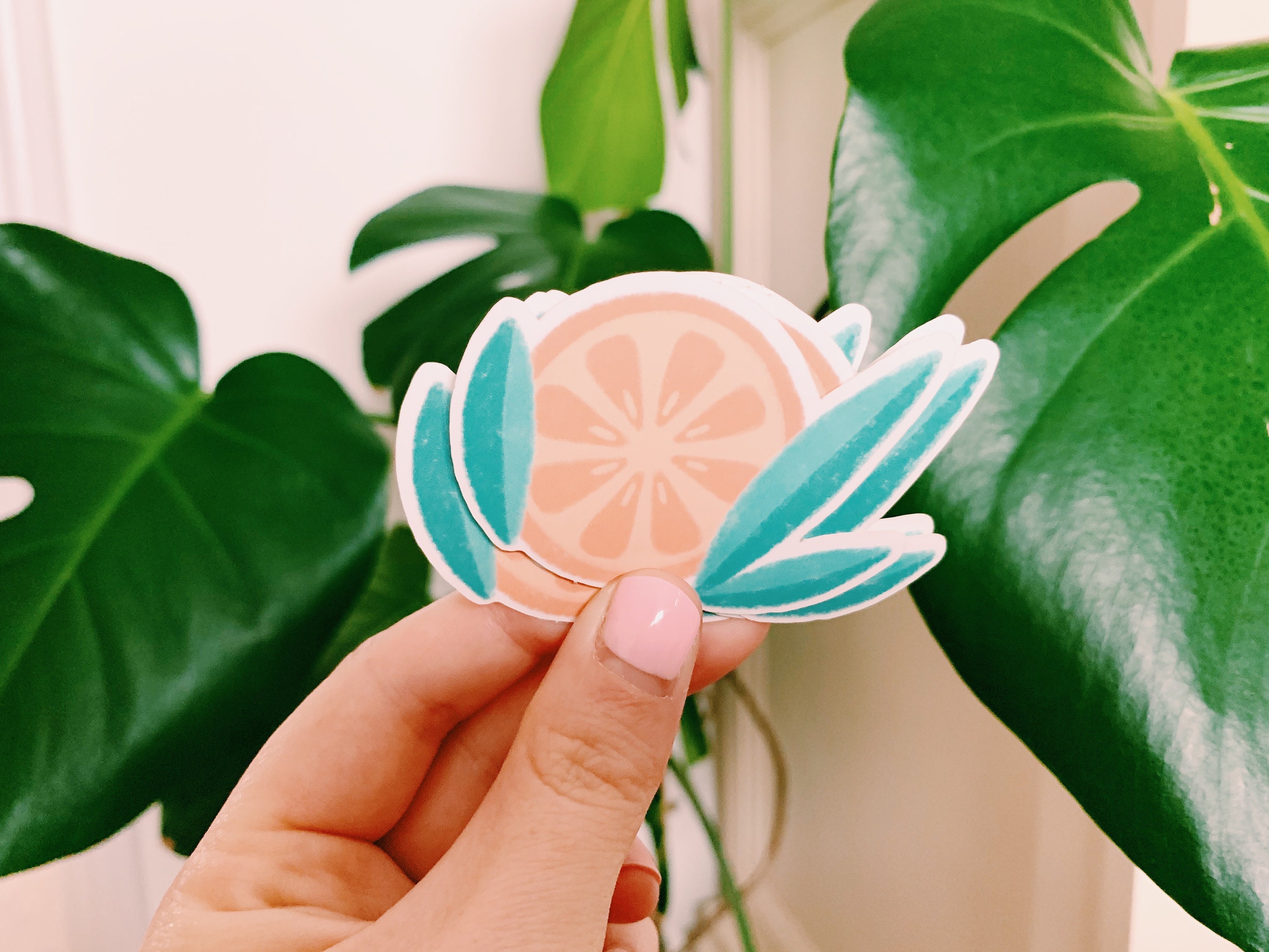 Sticker Orange Slice Clear Orange Sticker Etsy UK