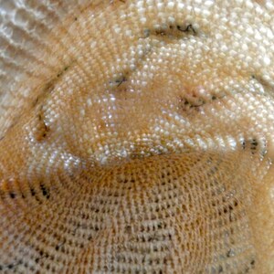 a1920s cloche of straw,chenille,and cut felt,handmade. colors are creme,green,blue,and red image 3