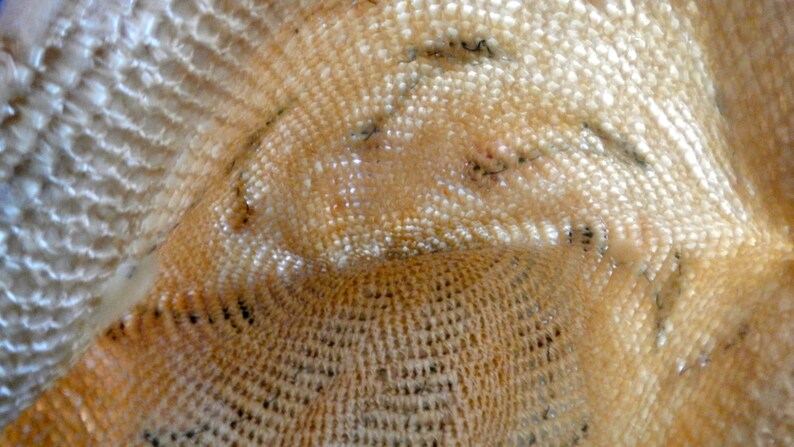 a1920s cloche of straw,chenille,and cut felt,handmade. colors are creme,green,blue,and red image 3