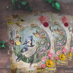 Bluejay Spring No.2, Art Print, Unframed - Three Size Options - Etsy