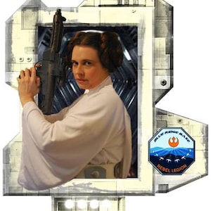 Digital instructions for creating a Classic Princess Leia gown