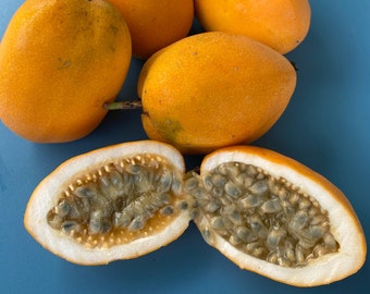 Jamaican Lilikoi SEEDS/ Maui Fruit/ Maui Seeds/Fruit Seeds/Passiflora laurifolia/Water Lemon/Fruit Seeds/Home Garden/Passionfruit Seeds