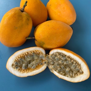 Jamaican Lilikoi SEEDS/ Maui Fruit/ Maui Seeds/Fruit Seeds/Passiflora laurifolia/Water Lemon/Fruit Seeds/Home Garden/Passionfruit Seeds image 1