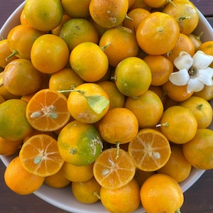 May include: A set of three ceramic vases in varying heights and shapes. The vases are glazed in a matte white finish, offering a minimalist aesthetic. The tallest vase is approximately 10 inches high.