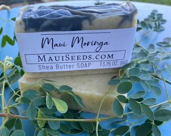 Maui Moringa Soap/Moringa Soap/Face Soap/Handmade on Maui/Vegan Soap/Tea Tree Essential Oil/Shaving + Face Soap/Shea Butter Soap