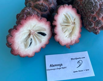 May include: Several dark purple, bumpy-skinned atemoya fruits, with two cut open to reveal white, segmented flesh and dark seeds. A white rectangular card is present with the text: Atemoya (Cherimoya x Sugar Apple) MauiSeeds.com Seeds, Plants + Soap.