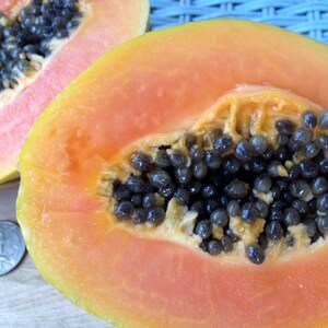 May include: A close-up of a halved papaya with black seeds. The papaya is a bright orange color and the seeds are clustered together in the center.