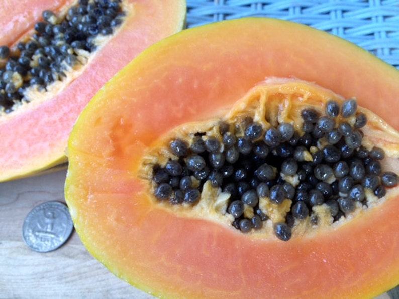 May include: A close-up of a halved papaya with black seeds. The papaya is a bright orange color and the seeds are clustered together in the center.