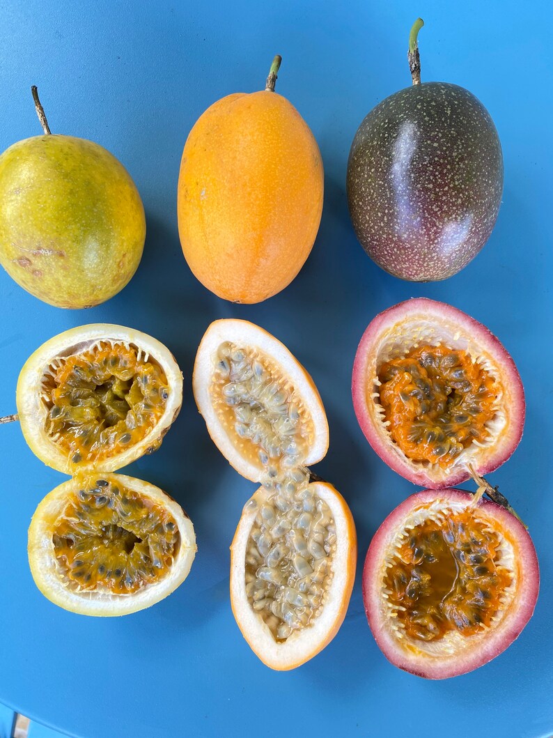 Jamaican Lilikoi SEEDS/ Maui Fruit/ Maui Seeds/Fruit Etsy