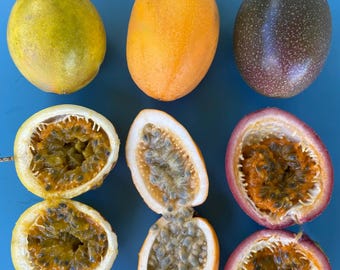 Lilikoi SEEDS/Passionfruit/3 Types/Purple Lilikoi/Yellow Lilikoi/Jamaican Lilikoi/Maui Seeds