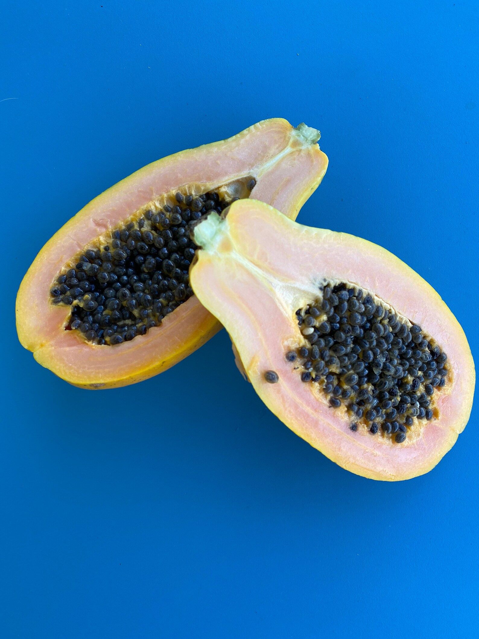 Strawberry Papaya/papaya Seeds/strawberry Papaya Seeds/maui Etsy