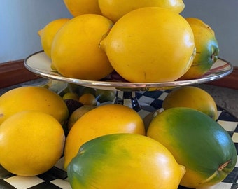 Abiu SEED/Pouteria caimito/Fruta tropical rara/Semillas de Maui