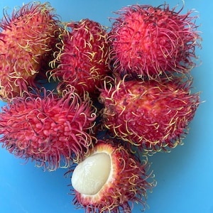 Rambutan Seeds/Maui SEEDS/Grown Fruit Tree Seeds /THREE (3) SEEDS