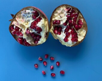50 Organic Pomegranate Seeds - Punica Granatum Megranatum - Bulk S008
