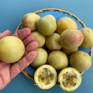 Calabash Lilikoi Seeds/Hard shelled Lilikoi/Seeds/Maui Seeds/Pasiflora maliformis /Home Garden/Seeds for Planting/Fruit Seeds/Hawaii Seeds