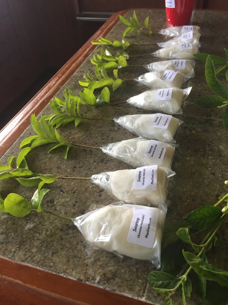 SoursopAnnona muricataGraviolaSEEDS Maui SeedsFresh Maui Grown SeedsTropical FruitHawaii Fruit SeedMaui grownHealth TeaHerbal Tea