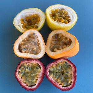 Jamaican Lilikoi SEEDS/ Maui Fruit/ Maui Seeds/Fruit Seeds/Passiflora laurifolia/Water Lemon/Fruit Seeds/Home Garden/Passionfruit Seeds image 8