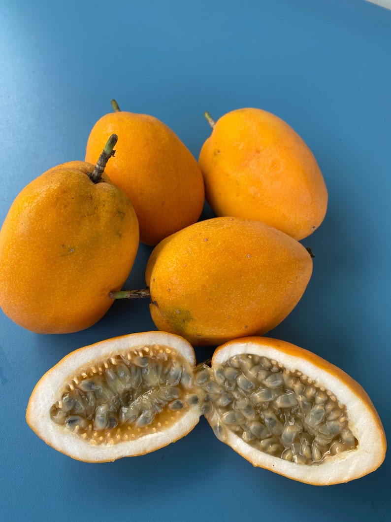 Jamaican Lilikoi SEEDS/ Maui Fruit/ Maui Seeds/Fruit Seeds/Passiflora laurifolia/Water Lemon/Fruit Seeds/Home Garden/Passionfruit Seeds image 1