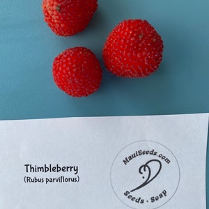 Thimbleberry/Rubus Parviflorus/Maui SEEDS/ RARE fruit/Fruit Seeds/Seeds for Planting image 2