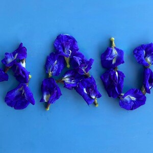 Puede incluir: La palabra "HAWAII" deletreada con flores azules de guisante mariposa sobre un fondo azul claro.