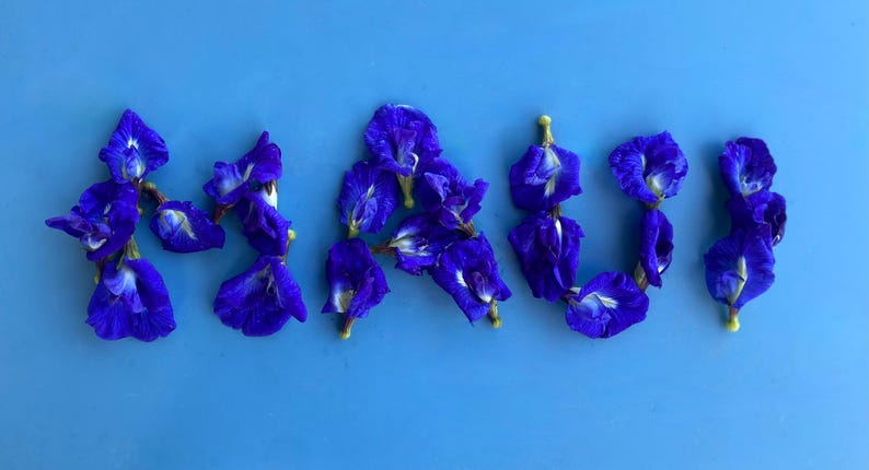 Puede incluir: La palabra "HAWAII" deletreada con flores azules de guisante mariposa sobre un fondo azul claro.