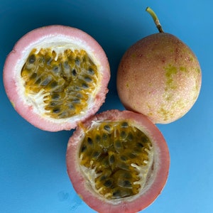 Lilikoi Seeds/Jamaican x Purple SEEDS/Hybrid Passionfruit SEEDS/LILIKOI/Maui Seeds/Fruit seeds/Exotic Tropical Fruit Seeds