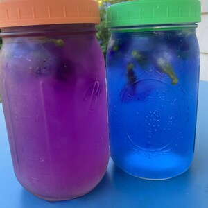 Puede incluir: Dos tarros de cristal con tapas, uno lleno de un l&iacute;quido morado y el otro de un l&iacute;quido azul. Ambos tarros tienen botones de flores visibles en su interior.