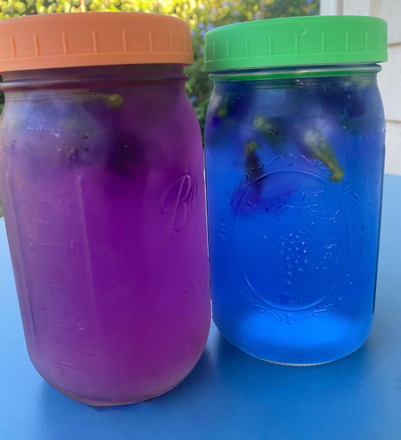 Puede incluir: Dos tarros de cristal con tapas, uno lleno de un l&iacute;quido morado y el otro de un l&iacute;quido azul. Ambos tarros tienen botones de flores visibles en su interior.