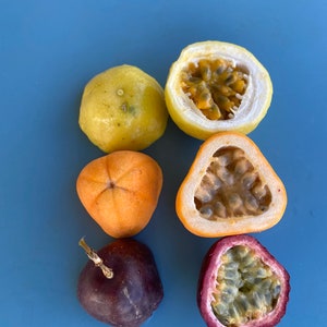 Jamaican Lilikoi SEEDS/ Maui Fruit/ Maui Seeds/Fruit Seeds/Passiflora laurifolia/Water Lemon/Fruit Seeds/Home Garden/Passionfruit Seeds image 6