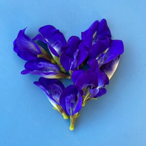 Puede incluir: Un grupo de flores de guisante de mariposa azul dispuestas en forma de coraz&oacute;n sobre un fondo azul claro.