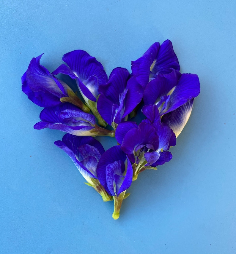 Puede incluir: Un grupo de flores de guisante de mariposa azul dispuestas en forma de coraz&oacute;n sobre un fondo azul claro.