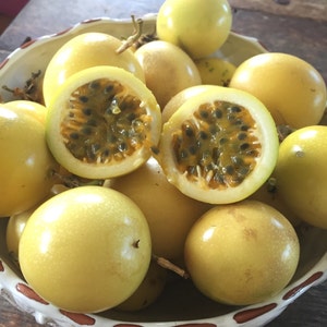 Passionfruit SEEDS/Yellow LILIKOI/Maui Seeds/Fruit seeds/Exotic Tropical Fruit Seeds/Hawaii Fruit/Seeds for planting/Tropical Fruit Seeds