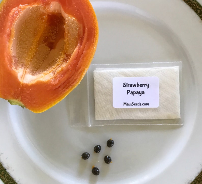 May include: A white plate with a half of a papaya, a small packet of seeds labeled "Strawberry Papaya MauiSeeds.com", and six papaya seeds on the plate.