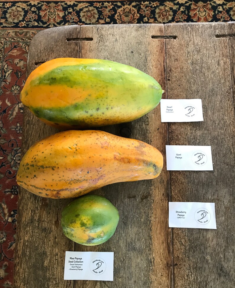 Papaya seeds for liver health picture