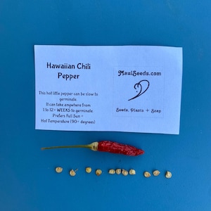 Hawaiian Chili Pepper/SEEDS/Capsicum fruitescens 10 SEEDS