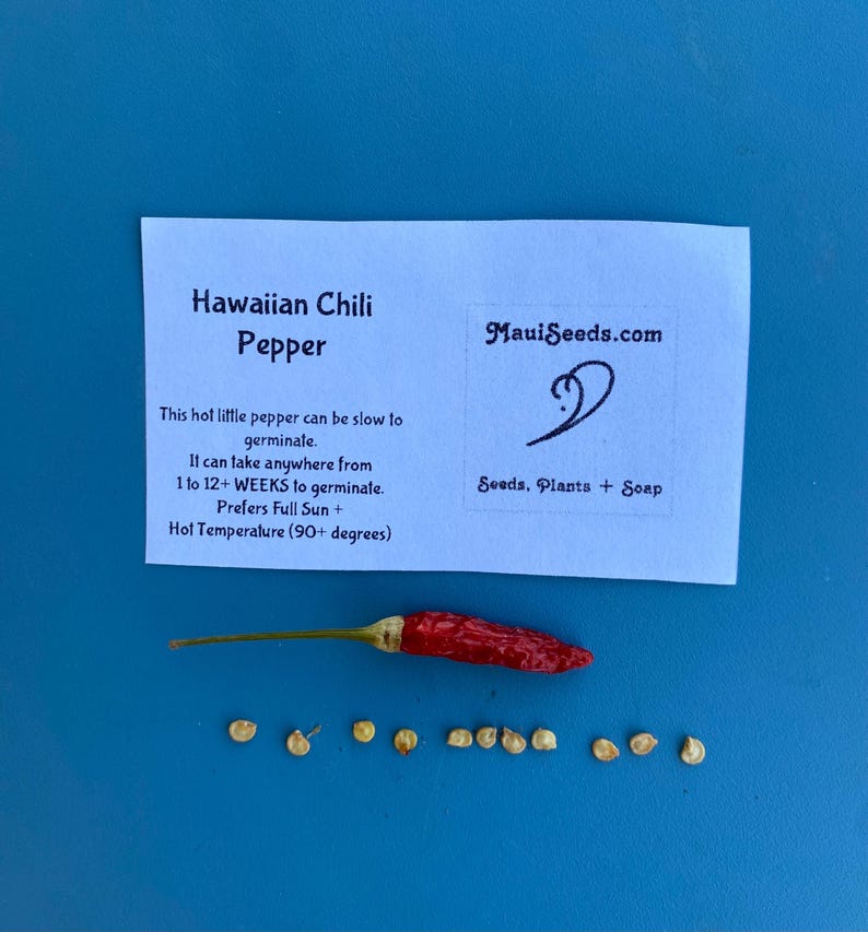 Hawaiian Chili Pepper/SEEDS/Capsicum fruitescens 10 SEEDS