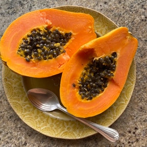 Strawberry Papaya/Papaya Seeds/Strawberry Papaya Seeds/Maui Seeds/Hawaii Seeds/Fruit Tree Seeds/Home Garden/Easy to Grow Fruit Tree