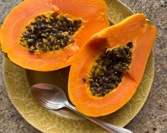 Strawberry Papaya/Papaya Seeds/Strawberry Papaya Seeds/Maui Seeds/Fruit Tree/Hawaii Fruit Seeds/Fruit Tree Seeds/Home Garden/Fruit Seeds