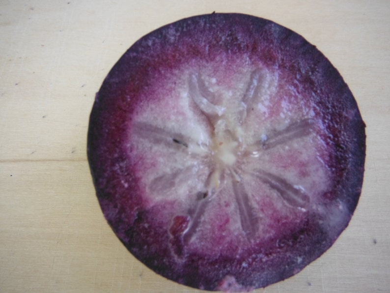May include: A close-up of a halved purple fruit with a white star-shaped center. The fruit has a dark purple outer skin and a lighter purple flesh. The star-shaped center is surrounded by a ring of darker purple flesh.
