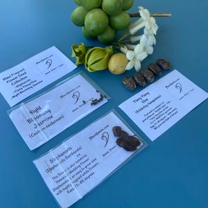 Maui Fragrant Flower Seed Collection/Ylang Ylang Vine/Night Blooming Jasmine/Stephanotis/Maui Seeds/Exotic Flowers/Easy to Grow/Flower Seeds