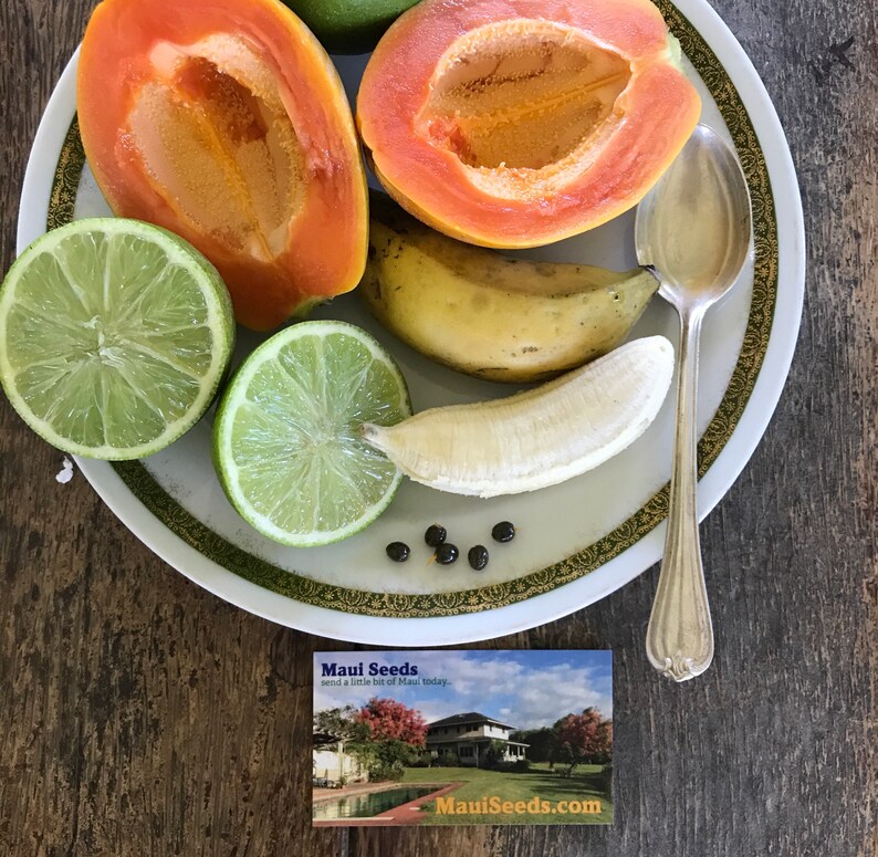May include: A white plate with a gold trim, containing a variety of fruits, including papaya, limes, and bananas. There is a silver spoon on the plate and a business card for Maui Seeds with the text "Maui Seeds send a little bit of Maui today. MauiSeeds.com".
