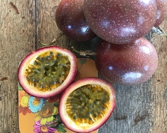 Purple Lilikoi/Passionfruit SEEDS/Tropical Fruit/Passiflora edulis Seeds/Seeds/Hawaii Fruit/Maui Seeds/Tropical Fruit Seeds/Home Garden