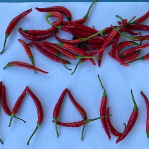 May include: A collection of bright red chili peppers, some arranged to spell "MAUI" on a white surface. The peppers have green stems and a curved shape. The background is a light blue color.