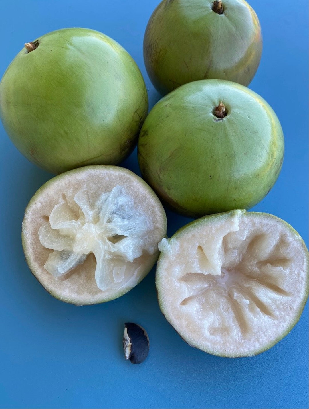 Apple - スター il_1080xN.5865385566_dipv.jpg