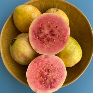 Pink Guava/Psidium guajava/SEEDS/Maui Seeds/Fruit Seeds/Tropical Fruit/Home Garden/Hawaii Fruit/Guava Seeds/Easy to Grow/Edible Landscape