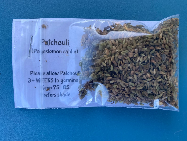 May include: A small clear plastic bag containing brown seeds labeled "Patchouli (Pogostemon cablin)". The label also includes instructions for planting the seeds, including a germination time of 3+ weeks and a preferred temperature range of 75-85 degrees Fahrenheit. The label also states that the plant prefers shade.