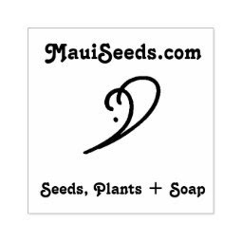 Jamaican Lilikoi SEEDS/ Maui Fruit/ Maui Seeds/Fruit Seeds/Passiflora laurifolia/Water Lemon/Fruit Seeds/Home Garden/Passionfruit Seeds image 10