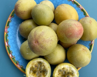 Calabash Lilikoi Seeds | Hard Shelled Passionfruit, Maui Seeds